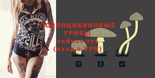 круглые Карталы