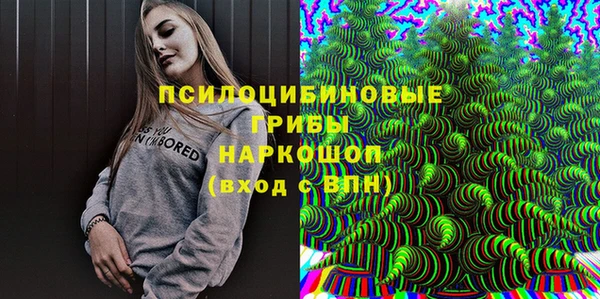 spice Киреевск